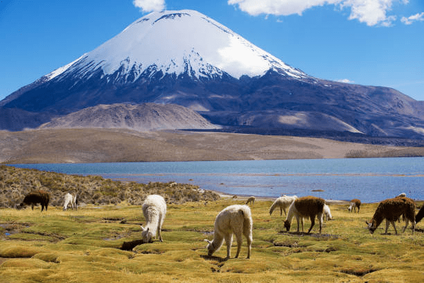 Volcán Perinacota