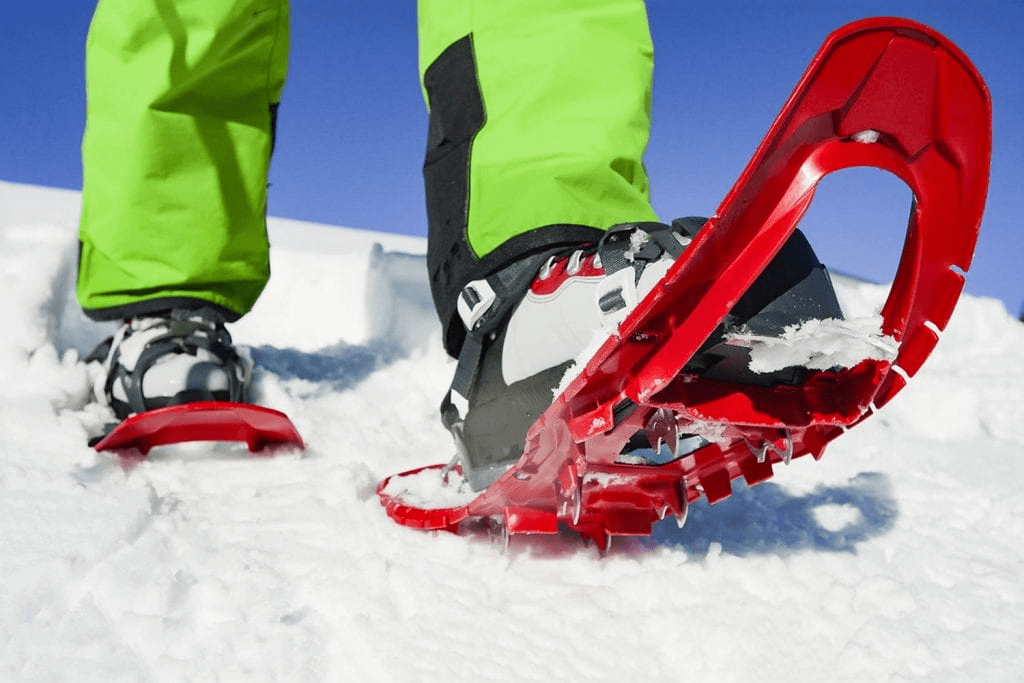 ¿Qué son las raquetas de nieve? ¿Por qué debería usarlos?