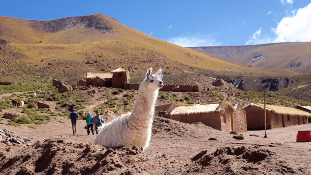 Trekking Machuca y Río Grande