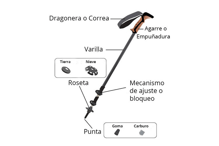 partes de bastones de trekking