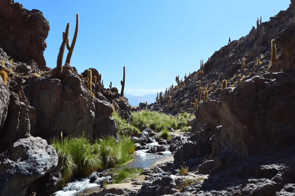 Vulcano Expediciones Las 15 mejores caminatas en San Pedro de Atacama